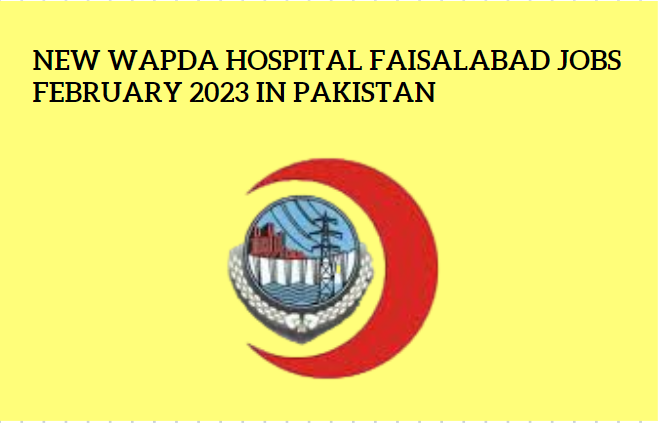 New Wapda Hospital Faisalabad Jobs February 2023